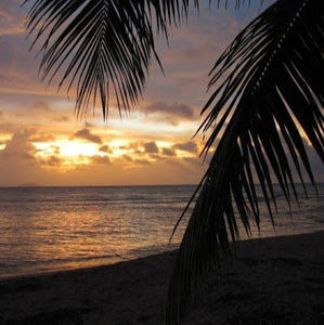 Meet your Posher, Mandy